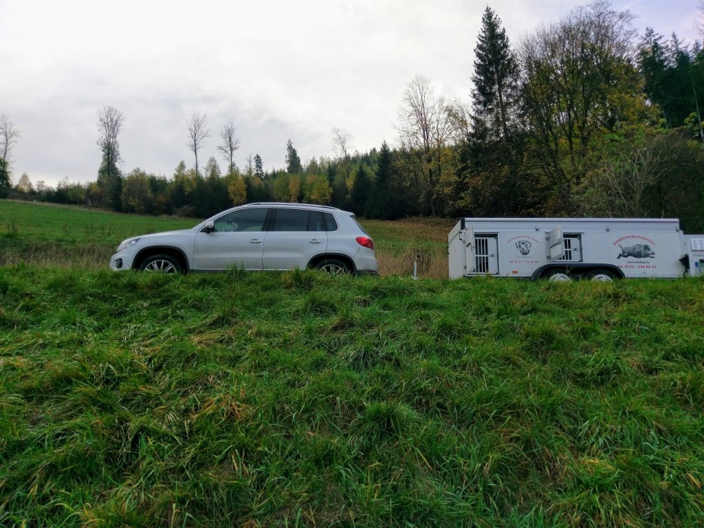 Mit Anhänger und Auto können bis zu 14 Hunde transportiert werden.