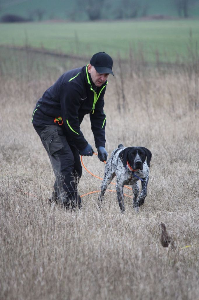 Nando (Lord) beim Vorstehen